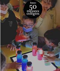 Imagen Post El Proyecto Educativo de los colegios Los Sauces de Madrid: La Moraleja y Torrelodones